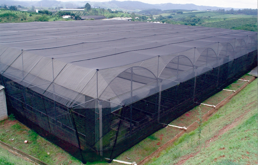 Captura%20de%20Tela%202019 08-13%20às%2001.18.04