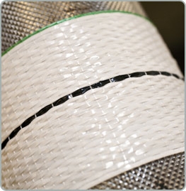 PHOTO 2019-01-10-09-58-46