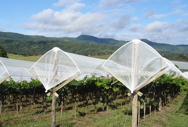 PHOTO 2019-08-19-14-56-19